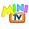Mini TV Television TDT